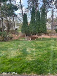 56 Auburn Road - Photo 11