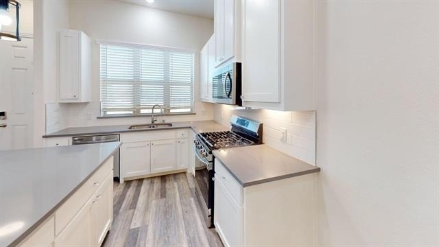 16164 Doe Lake Drive - Photo 4