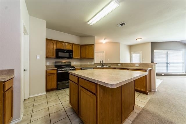 9924 Wild Ginger Drive - Photo 12