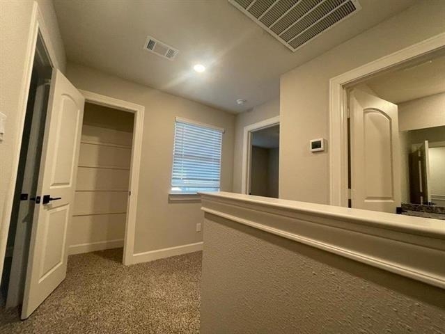 312 Lone Wolf Trail - Photo 22