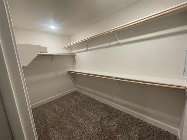 312 Lone Wolf Trail - Photo 26