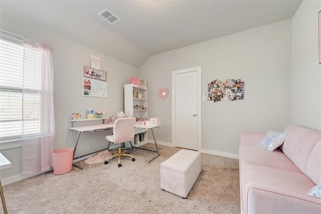 211 Coyote Creek Drive - Photo 29