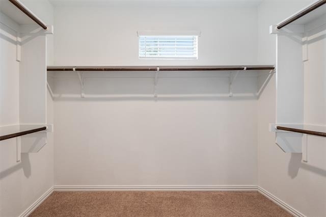 5341 Archway Drive - Photo 21