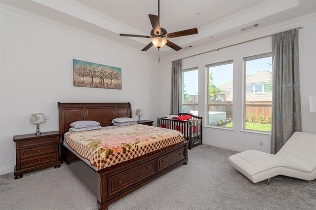 701 Star Meadow Drive - Photo 12