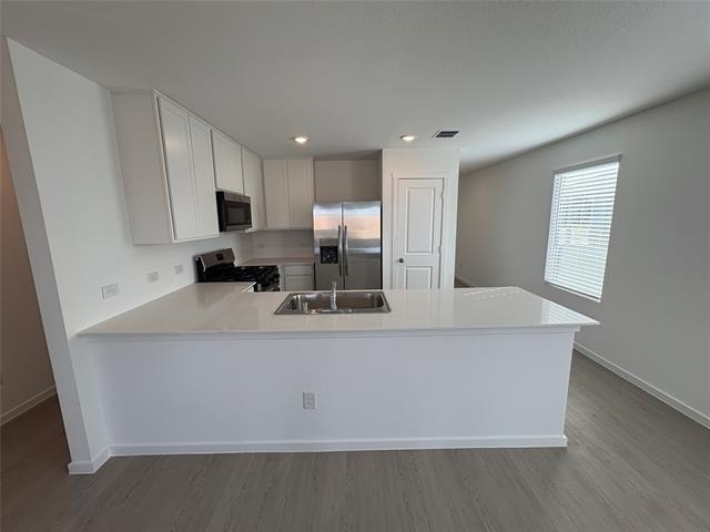 1633 Limpkin Drive - Photo 4