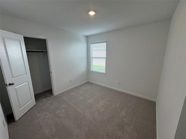 1633 Limpkin Drive - Photo 14