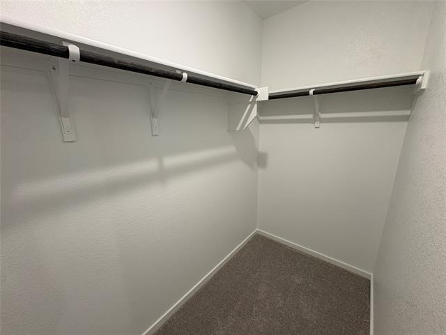 1633 Limpkin Drive - Photo 12