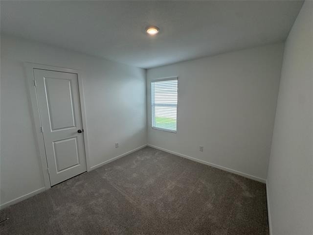 1633 Limpkin Drive - Photo 16