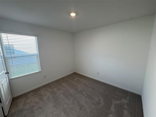 1633 Limpkin Drive - Photo 19