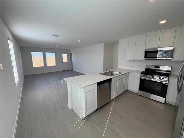 1633 Limpkin Drive - Photo 2
