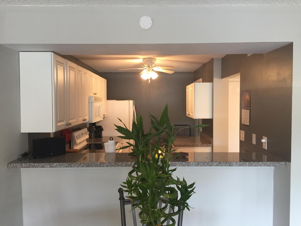 10 Royal Palm Way - Photo 1