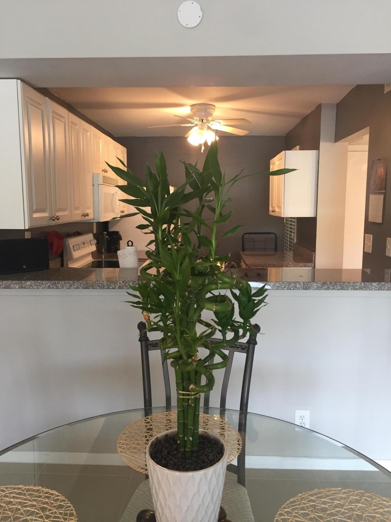 10 Royal Palm Way - Photo 3