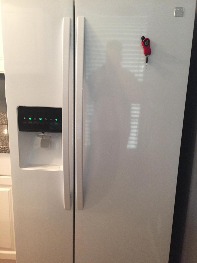 10 Royal Palm Way - Photo 4