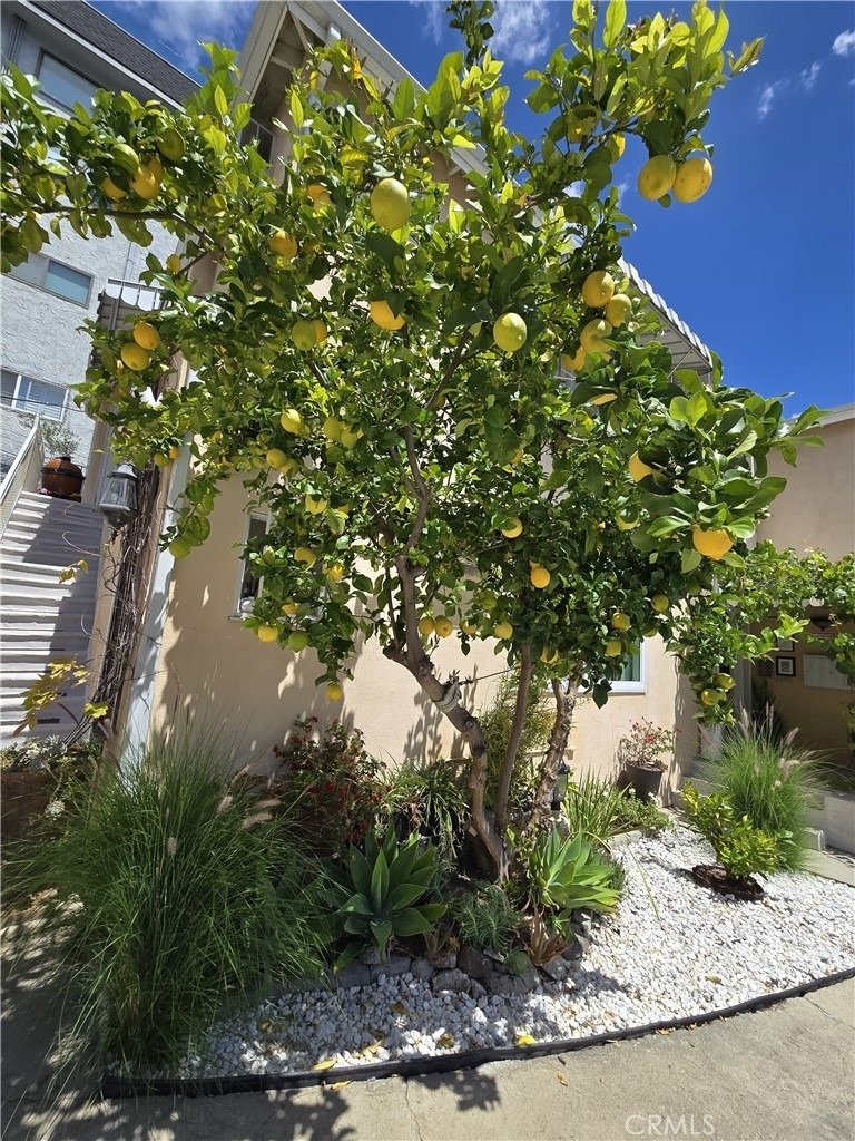 1129 N Clark - Photo 1