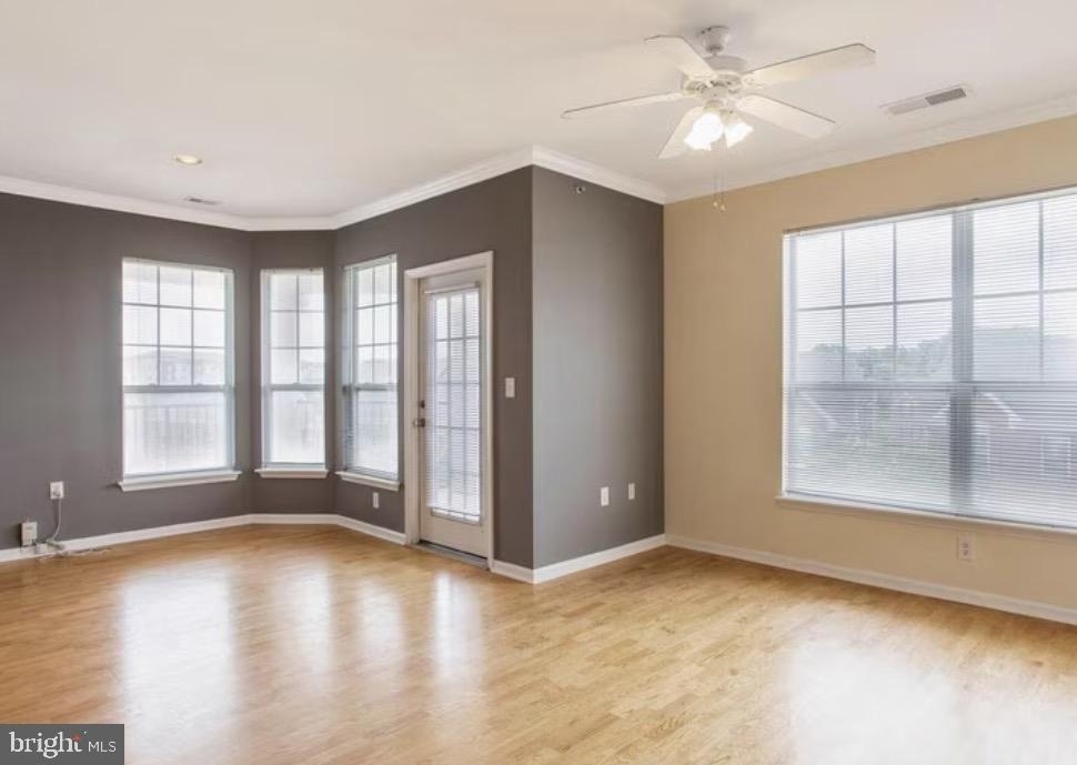13505 Kildare Hills Terrace - Photo 4
