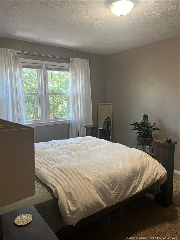1526 Trevino Drive - Photo 12