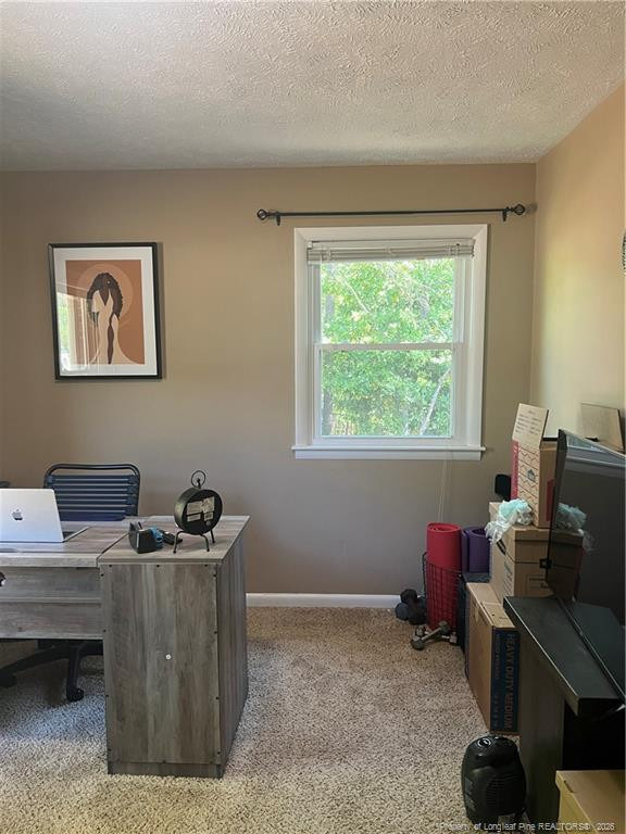 1526 Trevino Drive - Photo 9