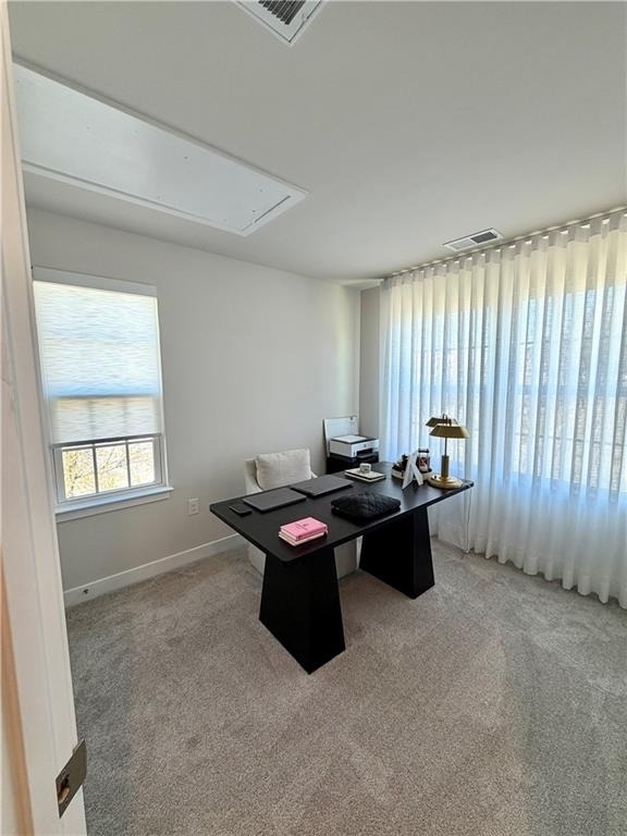 2000 Fortuna Street - Photo 16