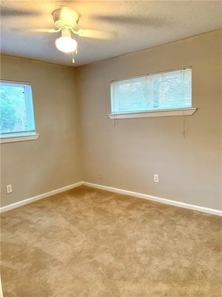 9 Clay Street - Photo 6
