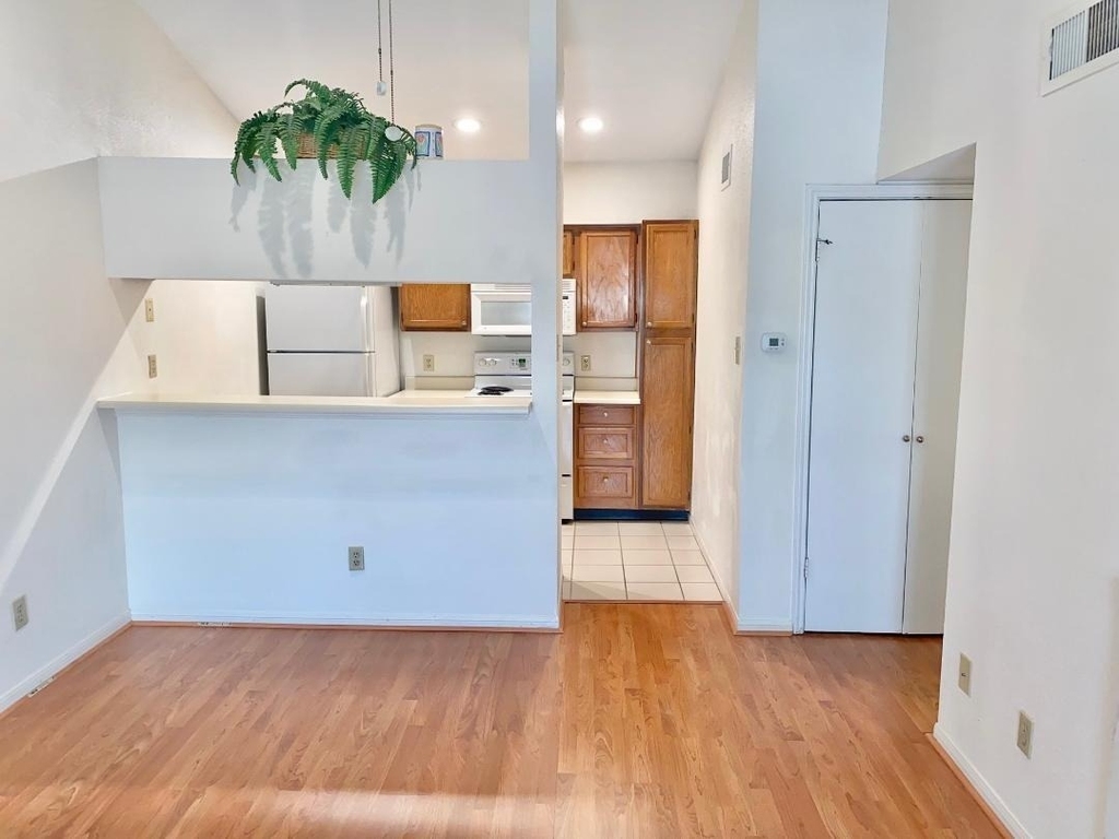 2121 El Paseo Street - Photo 4