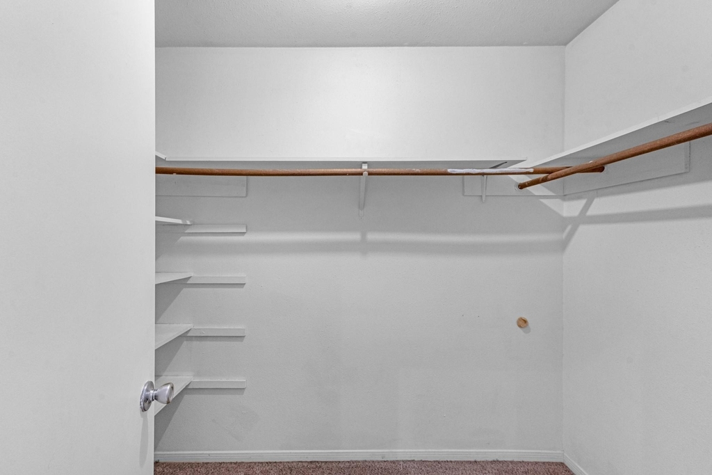 19403 Bristlestar Drive - Photo 10