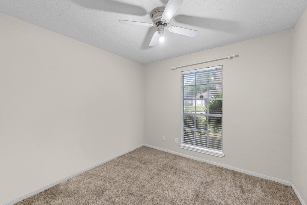 19403 Bristlestar Drive - Photo 13