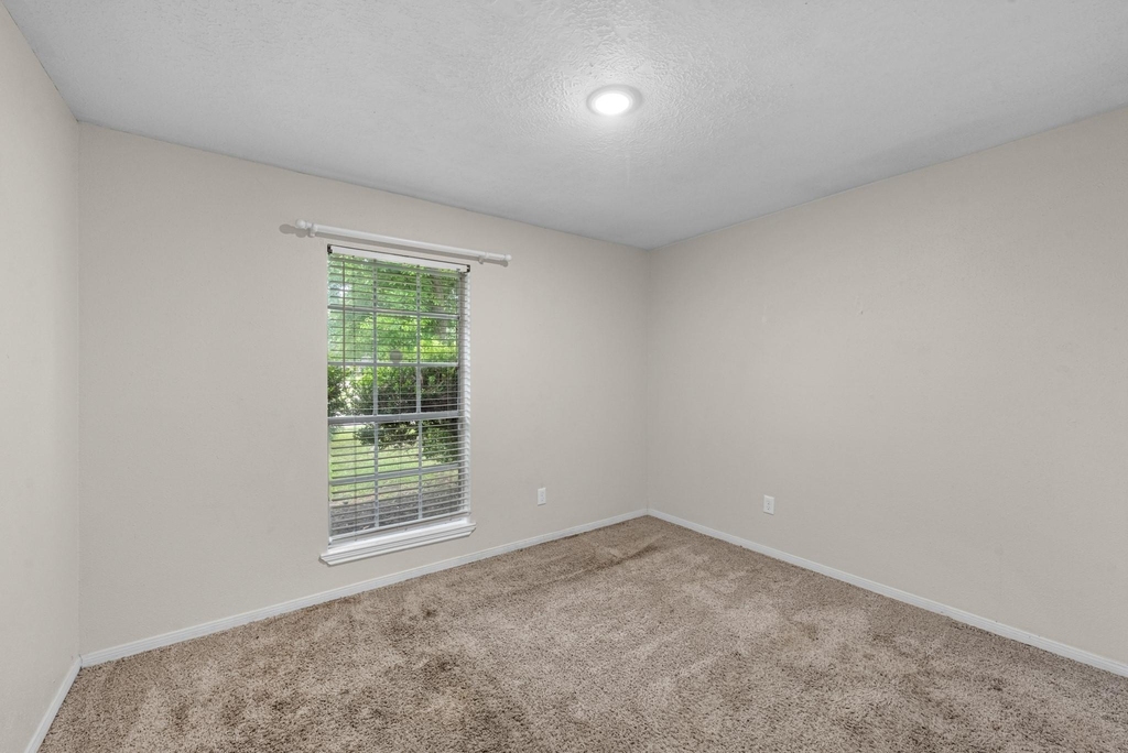 19403 Bristlestar Drive - Photo 12