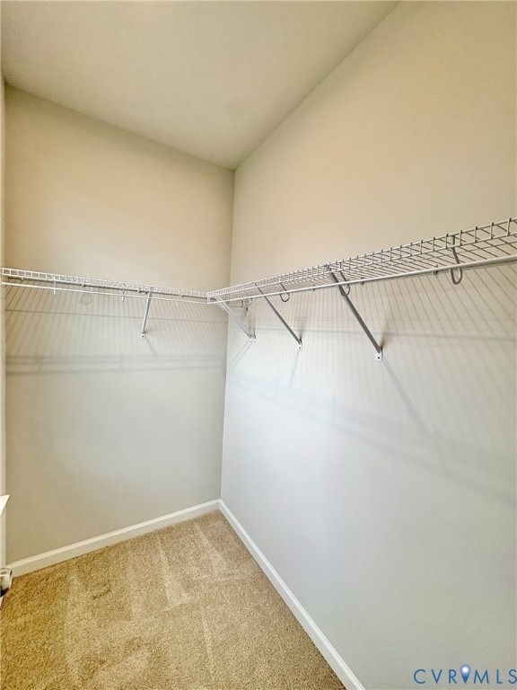 13327 Coalfield Station Lane - Photo 8