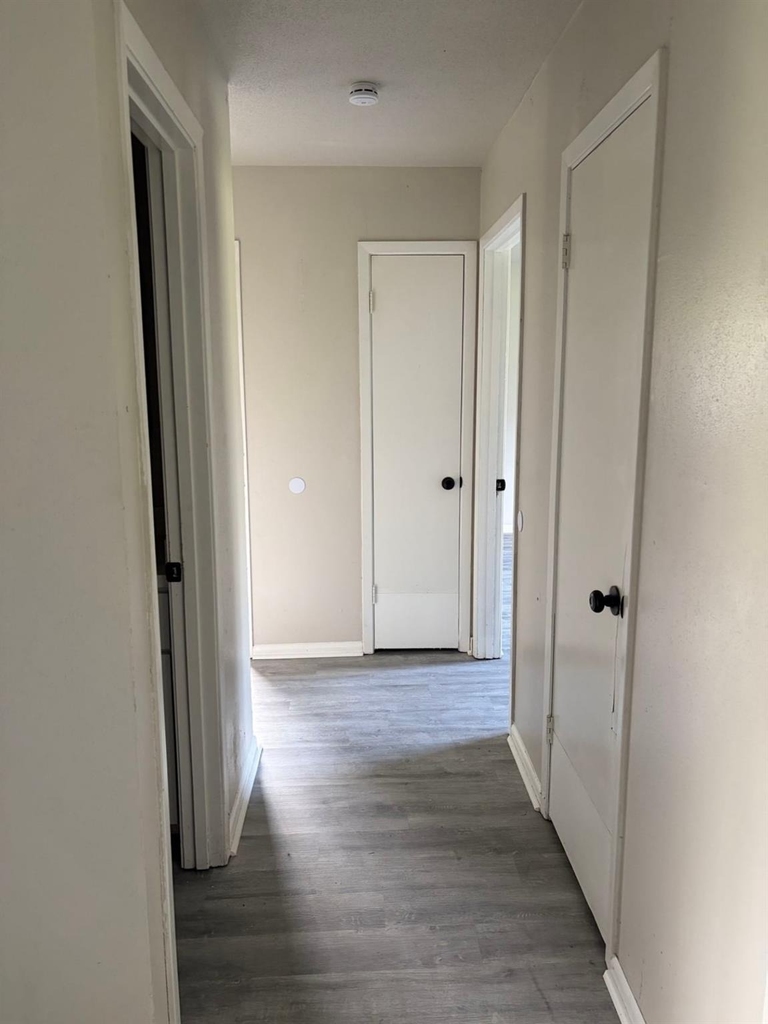5890 Helbig Road - Photo 12