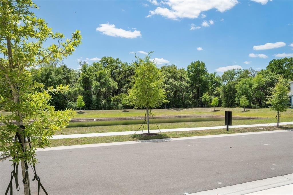 5273 Luisa Court - Photo 49