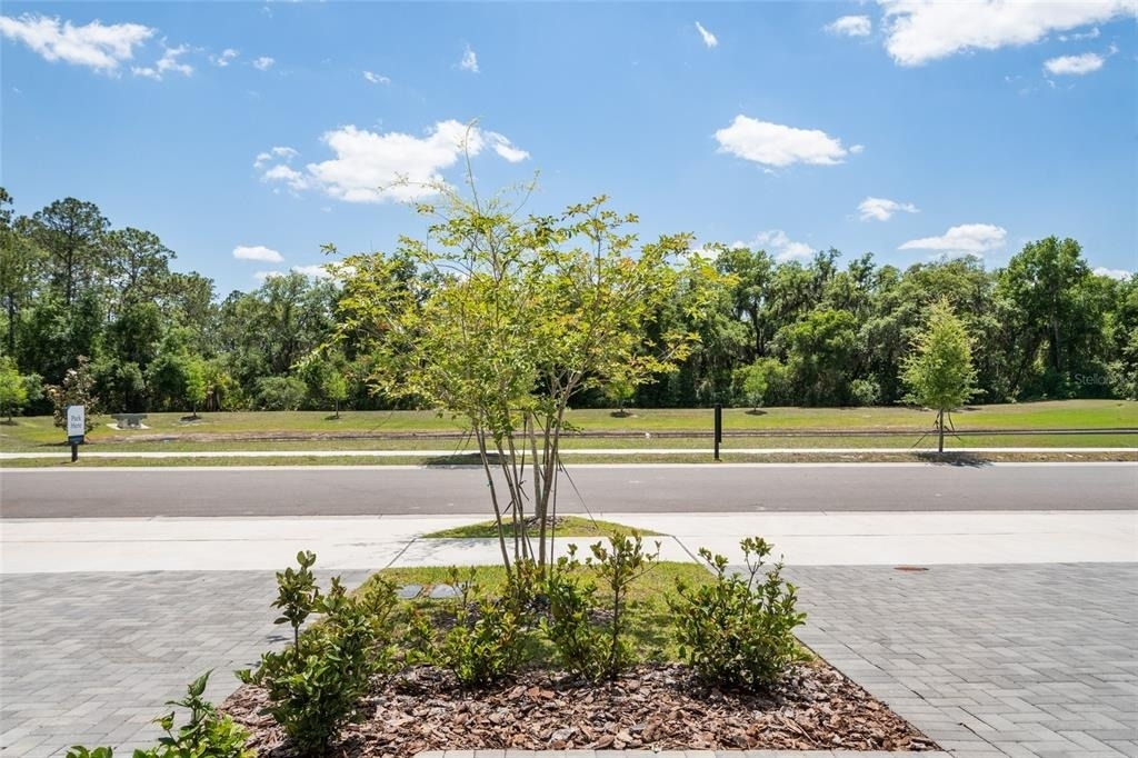 5273 Luisa Court - Photo 47