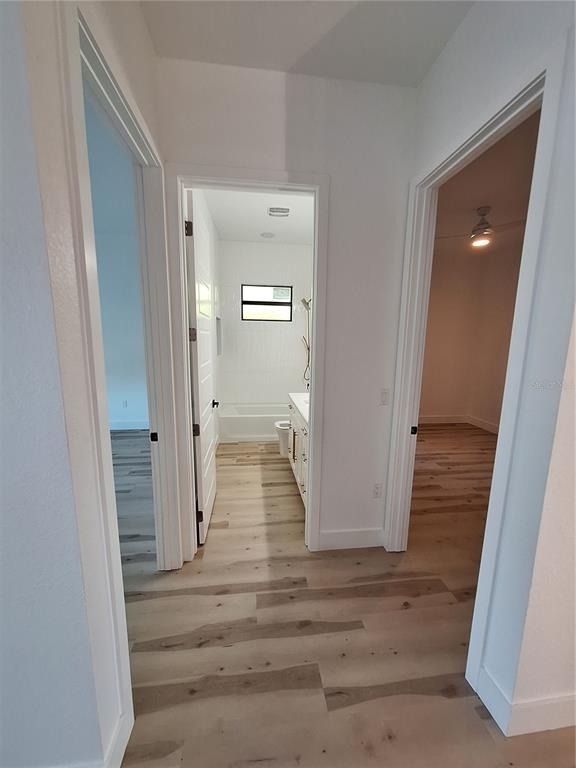 289 Albatross Road - Photo 17
