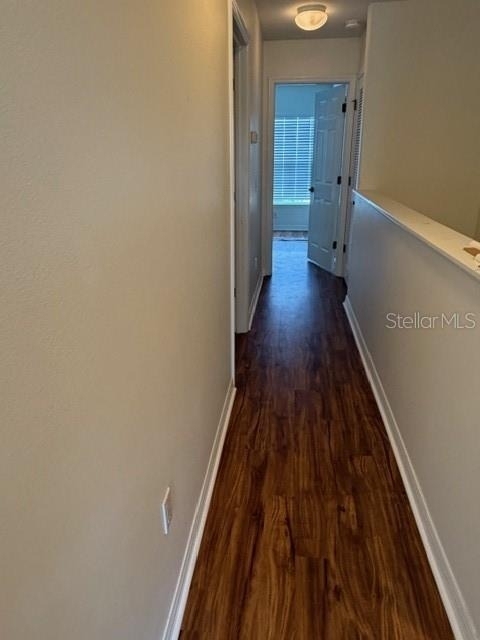 8858 White Sage Loop - Photo 8