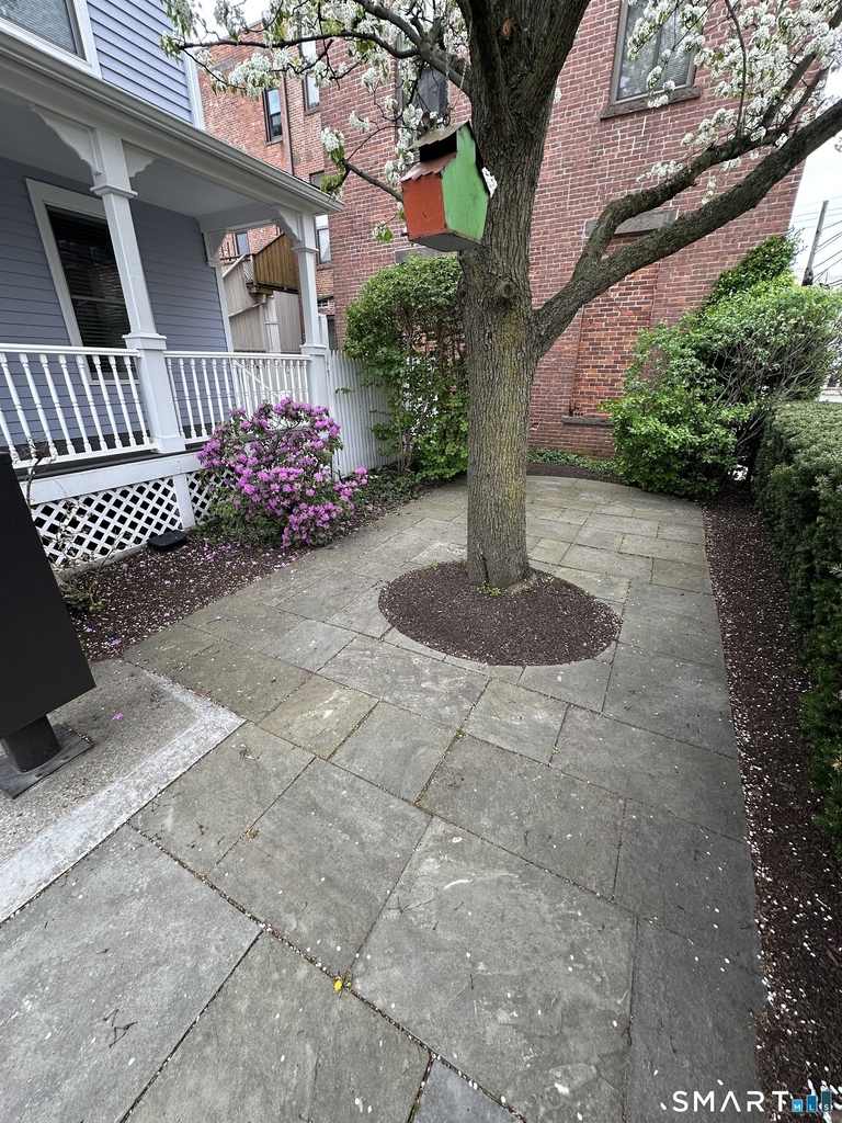 8 Haviland Street - Photo 16