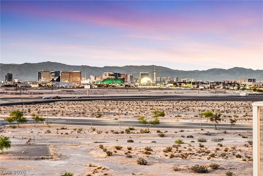 8255 Las Vegas Boulevard - Photo 27