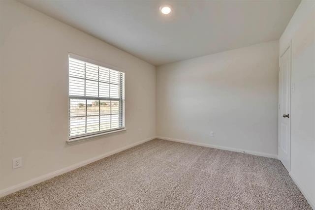 3039 Boran Drive - Photo 13