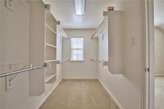 6505 Federal Hall Street - Photo 16