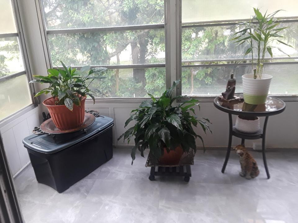 8205 Nw 61st Street Nw - Photo 1