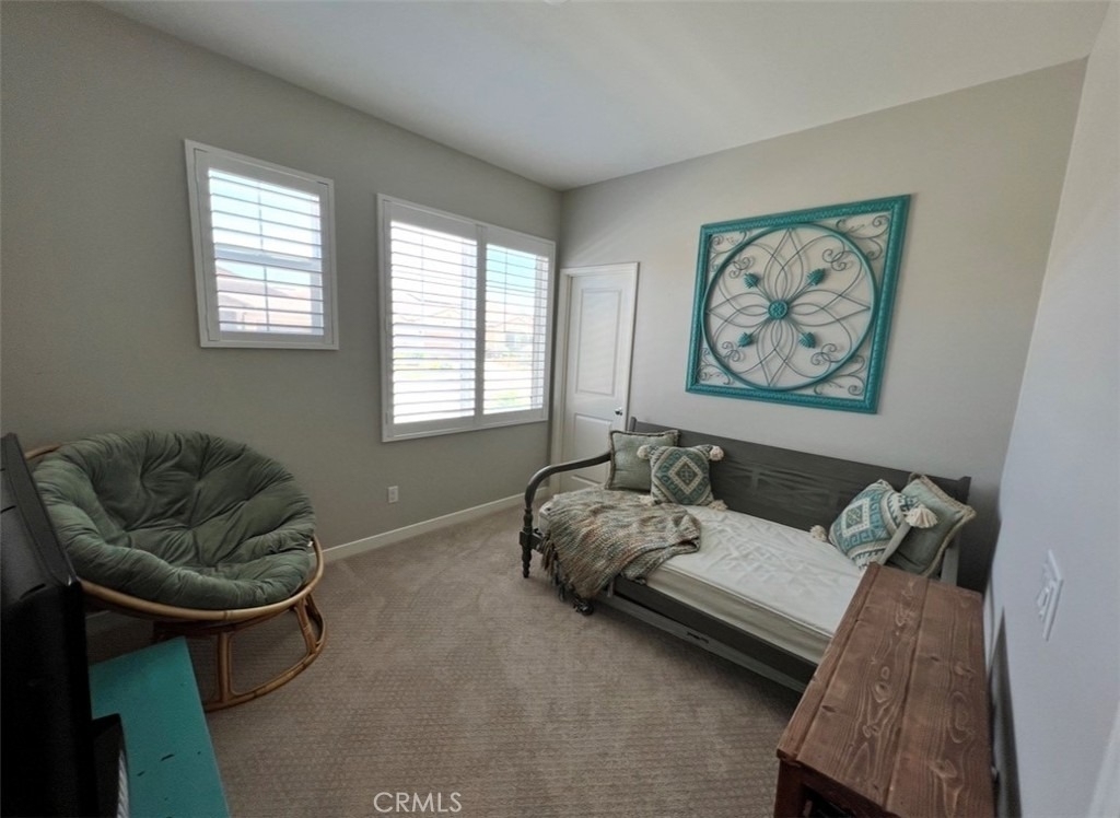 34715 Ribbon Grass - Photo 20