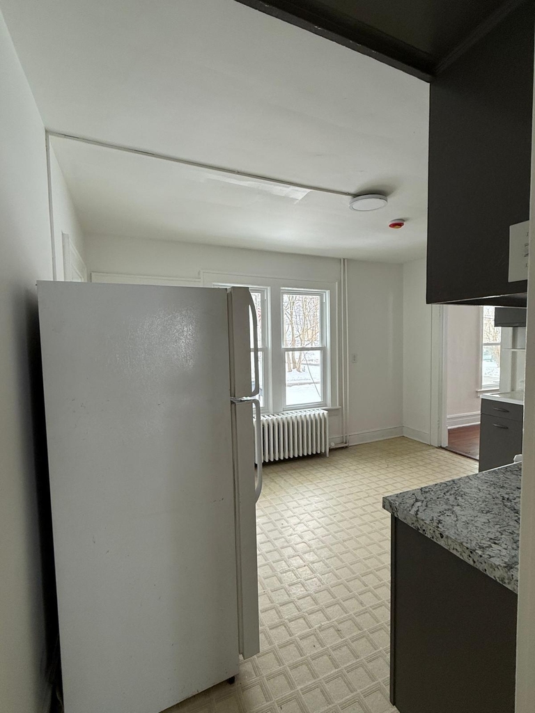 13 Springside Avenue - Photo 4