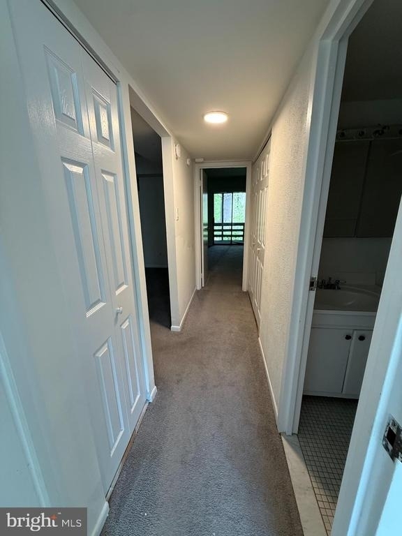 329 Shawmont Avenue - Photo 13