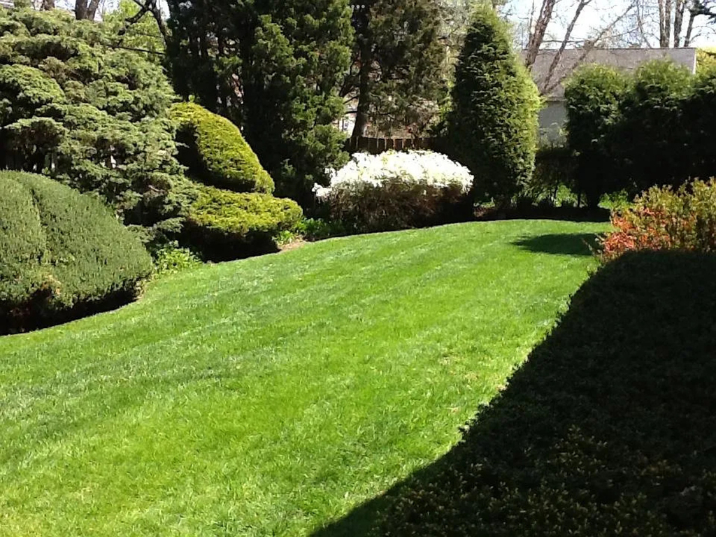 460 Highcrest Drive - Photo 41