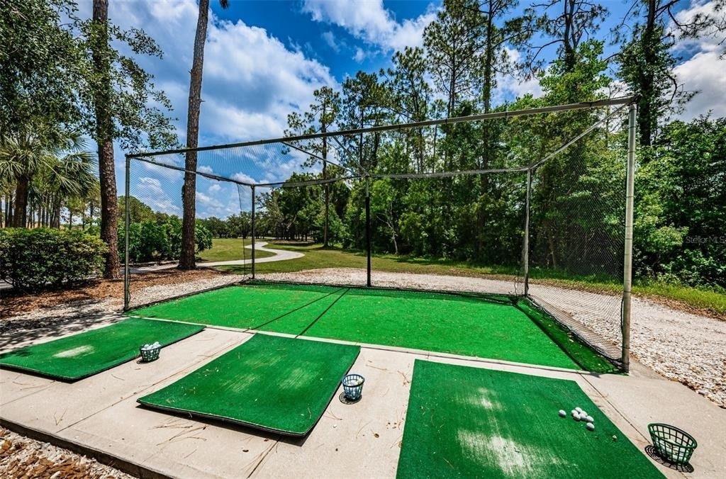 9307 Palm Haven Court - Photo 42