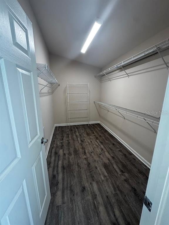 495 Painted Leaf Drive - Photo 5