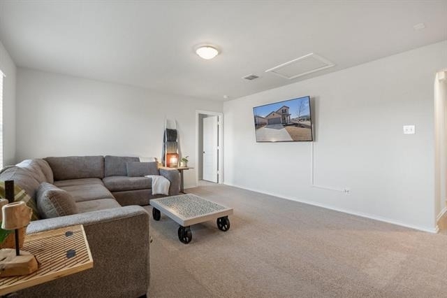 3105 Bedstraw Lane - Photo 10