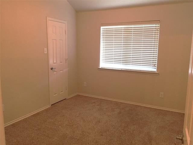 9837 Meadow Rue Drive - Photo 14