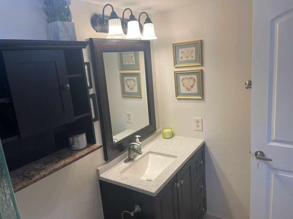 4539 Luxemburg Court - Photo 19