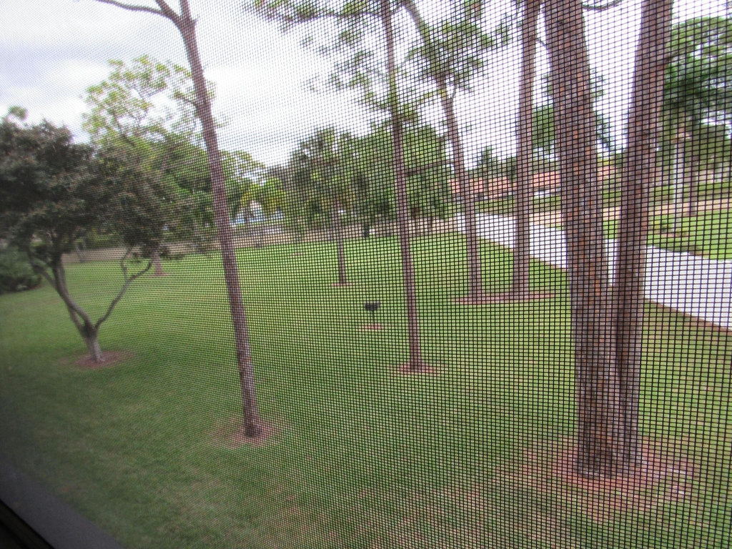 703 Sunny Pine Way - Photo 17