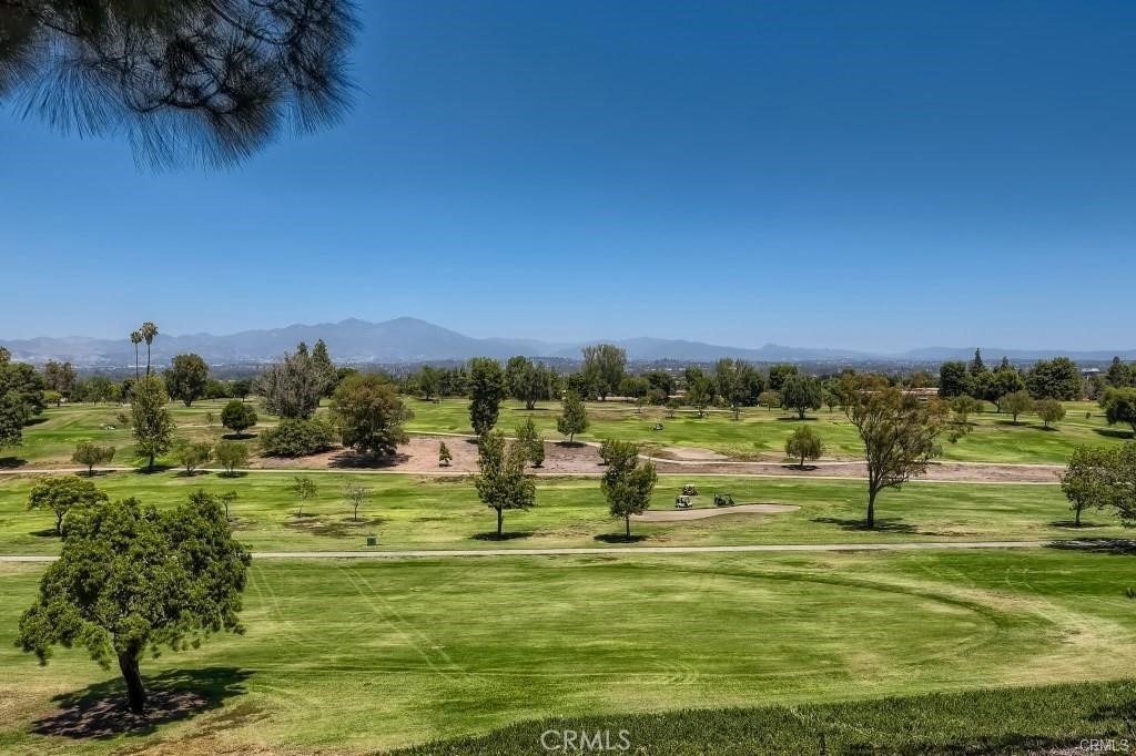 477 Calle Cadiz - Photo 16