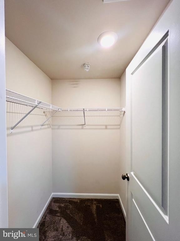 9875 Selkie Lane - Photo 16